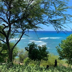 Meet your Posher, Maddie